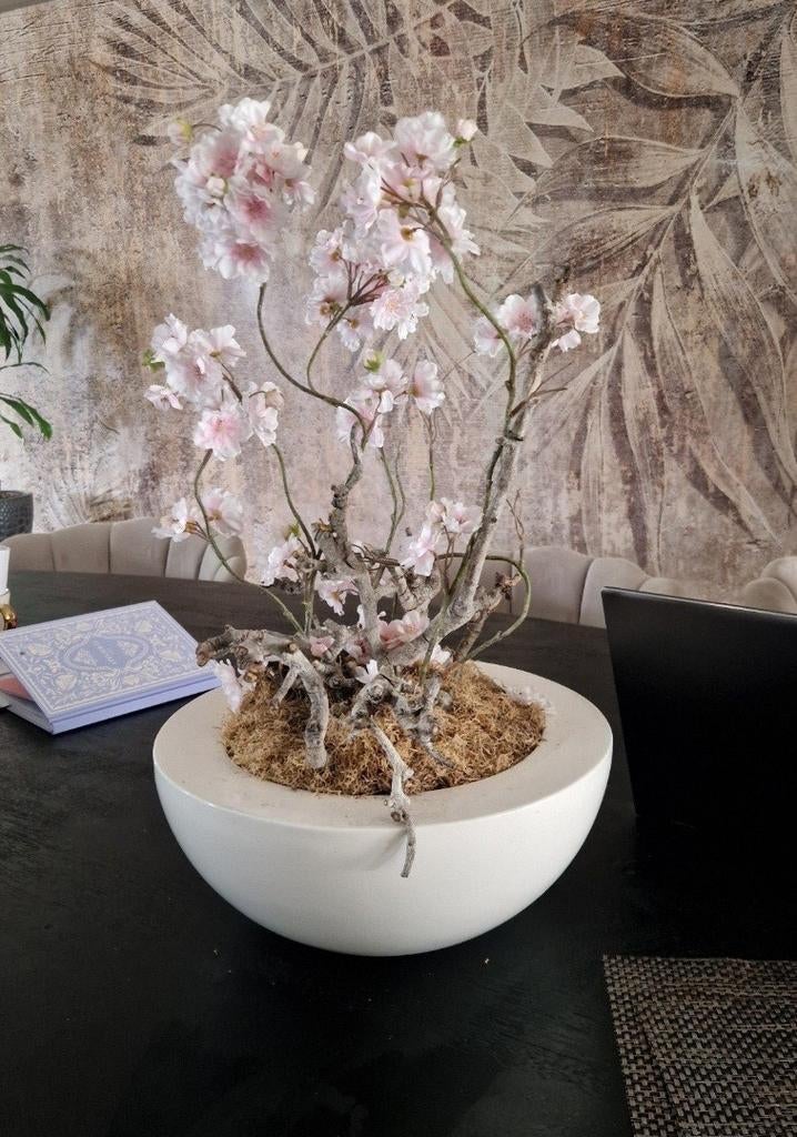 Decoratieve Bloesemtakken in Witte Pot, Ophalen of Verzenden