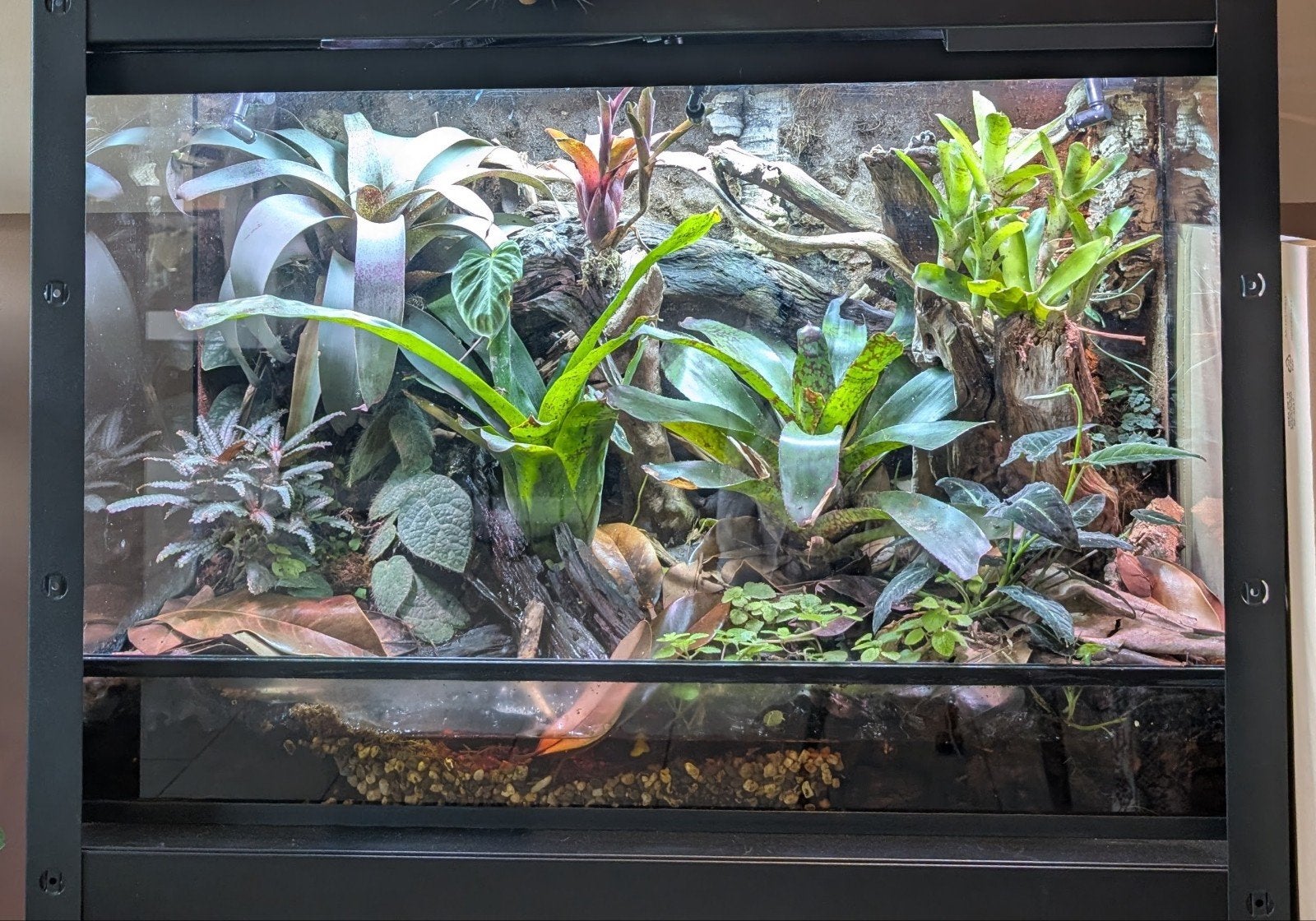Stelling met bak- terrarium, Dieren en Toebehoren, Ophalen