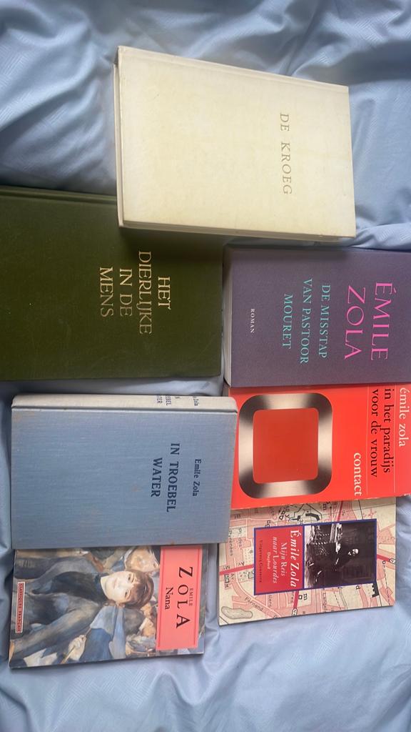 Boeken van Emile Zola, Ophalen of Verzenden, Gelezen, Nederland