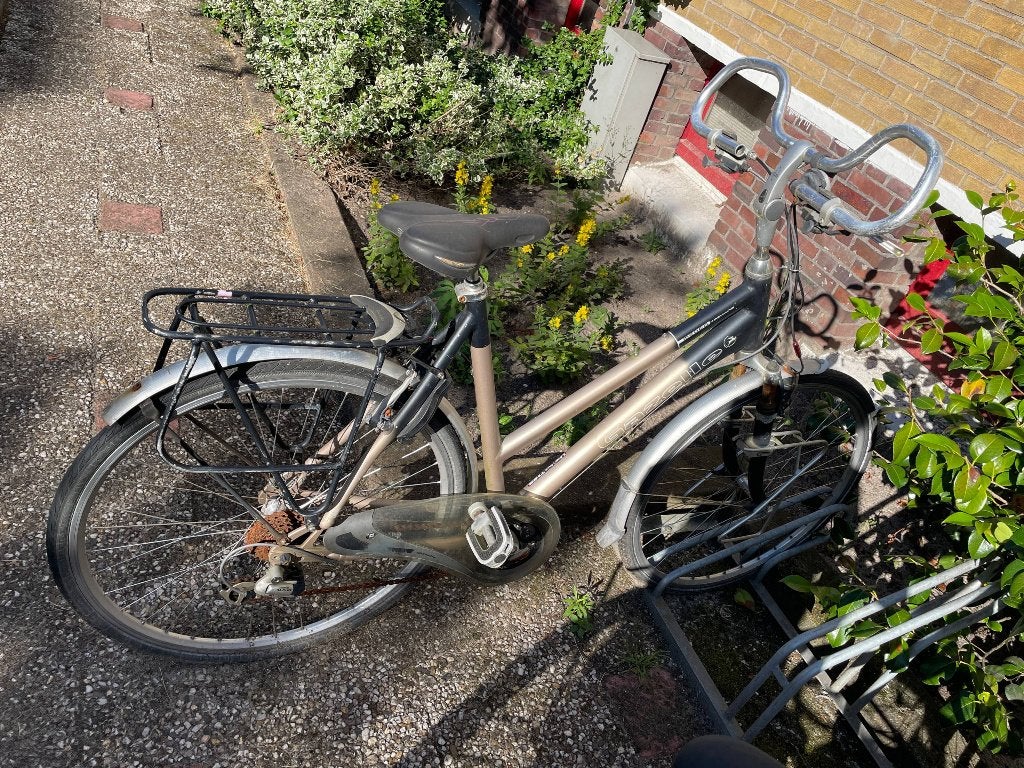 Gazelle Medeo damen fietsen, Fietsen en Brommers, Fietsen | Dames | Damesfietsen, Ophalen, Gebruikt, Gazelle, Versnellingen