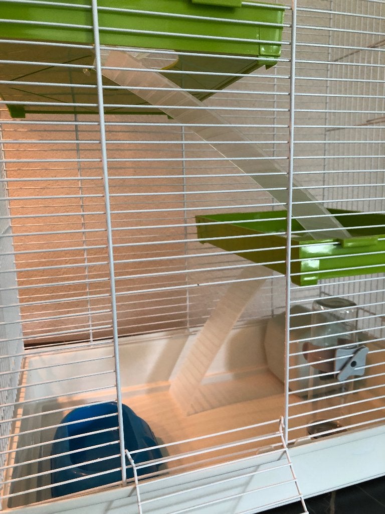 Verplast Hamster kooi, Kooi, Hamster, Ophalen, Minder dan 60 cm