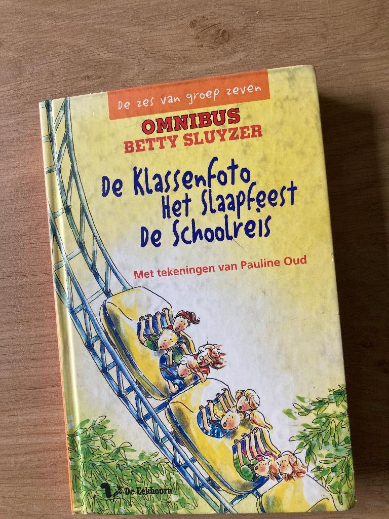 Boek Betty Sluyzer, Ophalen of Verzenden, Zo goed als nieuw, Fictie algemeen