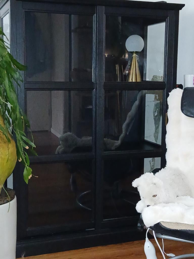 IKEA Malsjö Vitrinekast Zwart - Zo goed als nieuw, Met deur(en), 100 tot 150 cm, Glas, 100 tot 150 cm
