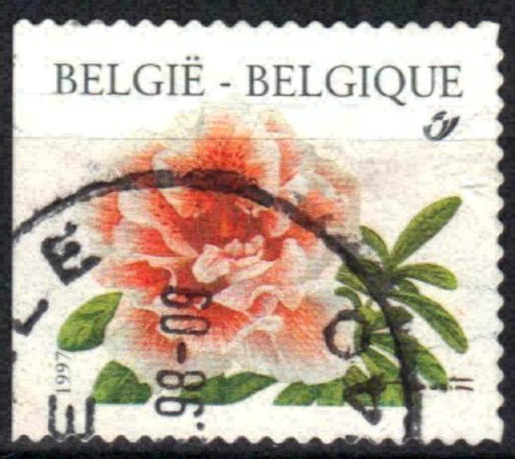 Belgie 1997 - Yvert/OBP 2733 - Bloemen (ST), Verzenden, Gestempeld
