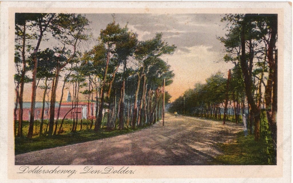 Den Dolder, Dolderscheweg. 6688, Verzenden, Voor 1920, Ongelopen, Utrecht