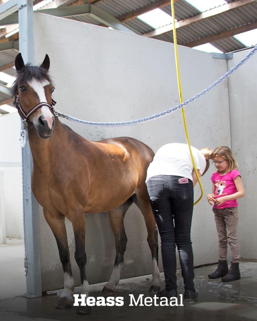 Wasplaats paardenstal | Wasplaatswanden, Weidegang, 4 paarden of pony's of meer