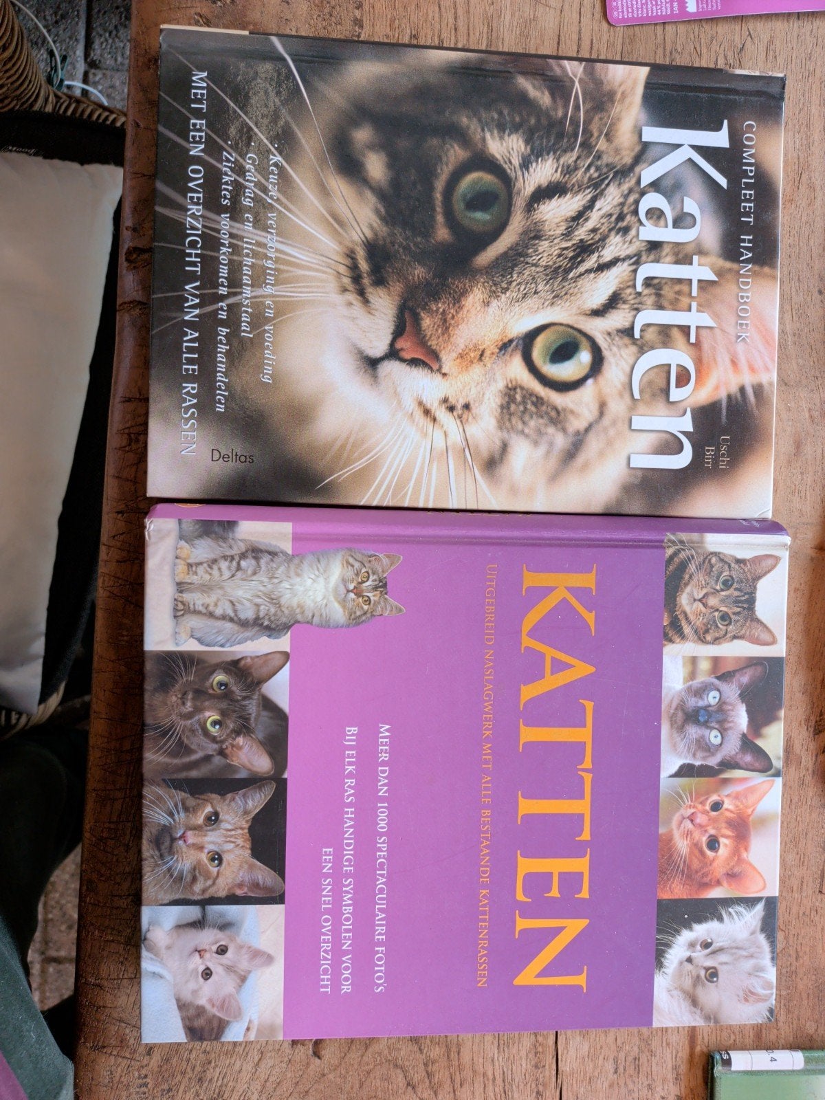 Kattenboeken: Compleet Handboek & Uitgebreid Naslagwerk, Boeken, Ophalen of Verzenden, Gelezen, Katten, Ischi Bieri e.a.