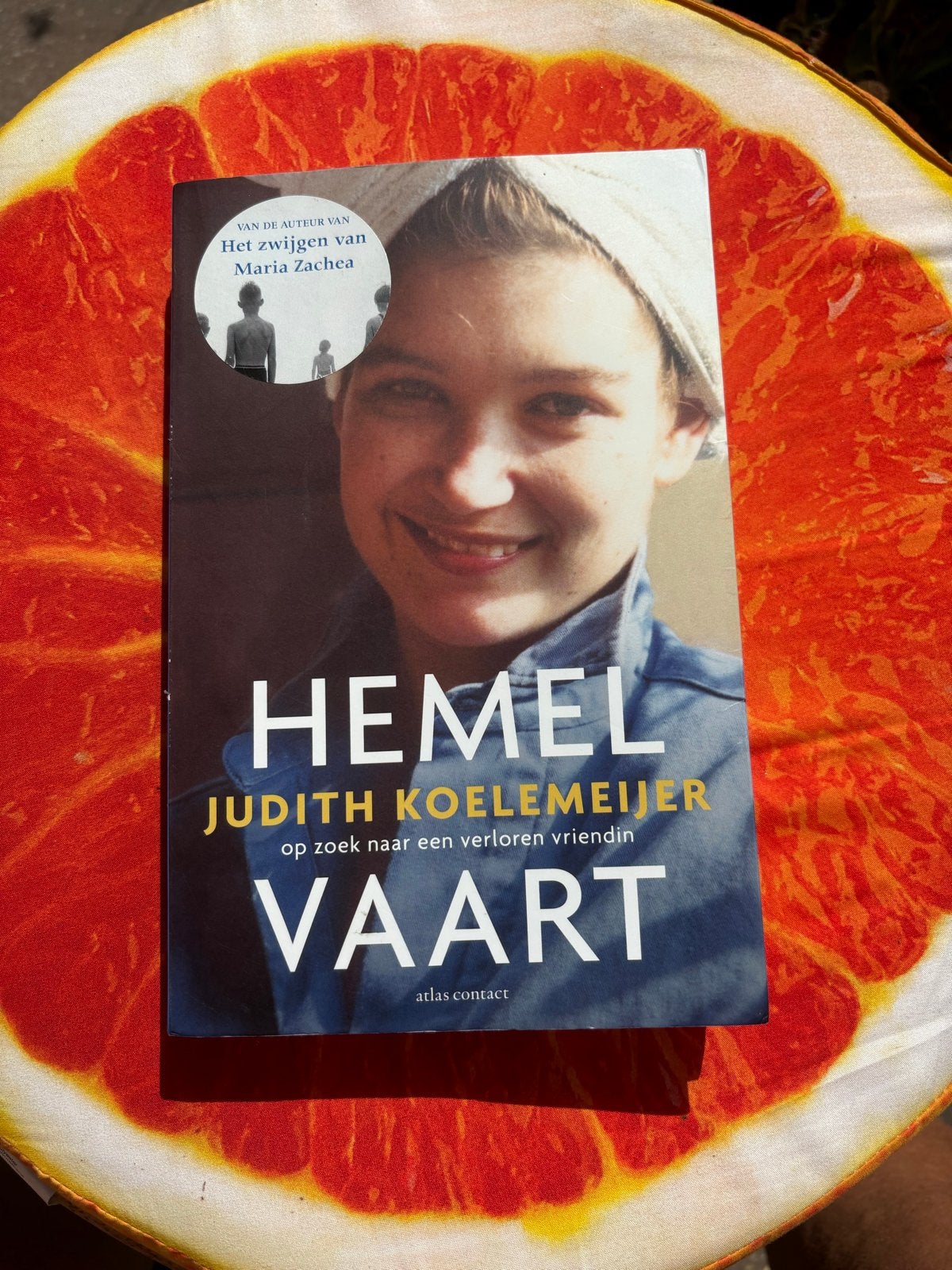 HEMELVAART - Judith Koelemeijer (op zoek naar een vriendin), Boeken, Ophalen of Verzenden, Gelezen, Nederland