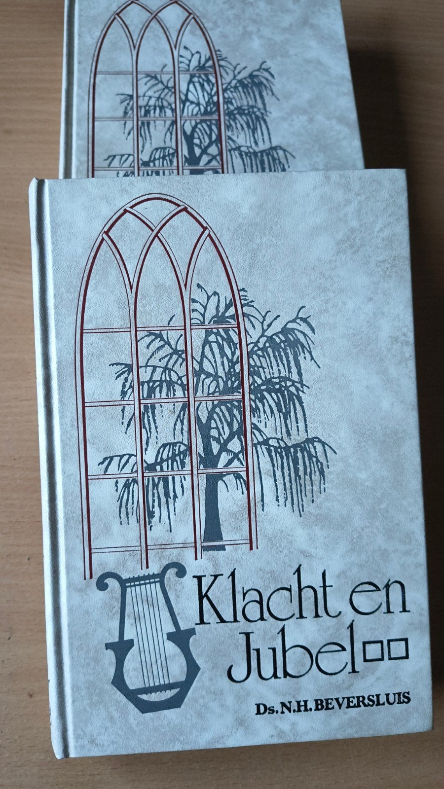 Klacht en jubel. C de jongste. deel 1 en 2, C de Jongste, Christendom | Protestants, Ophalen of Verzenden, Zo goed als nieuw