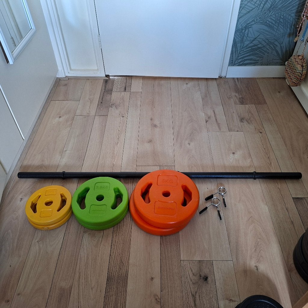 Barbell & gewichten, Ophalen, Zo goed als nieuw, Rug, Halterschijven