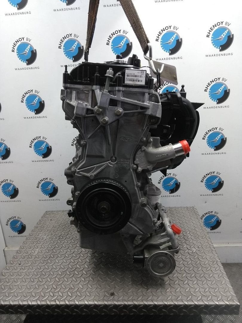 FORD KUGA ACTIVE MOTOR 2025, Ophalen of Verzenden, Gebruikt, ARN erkend