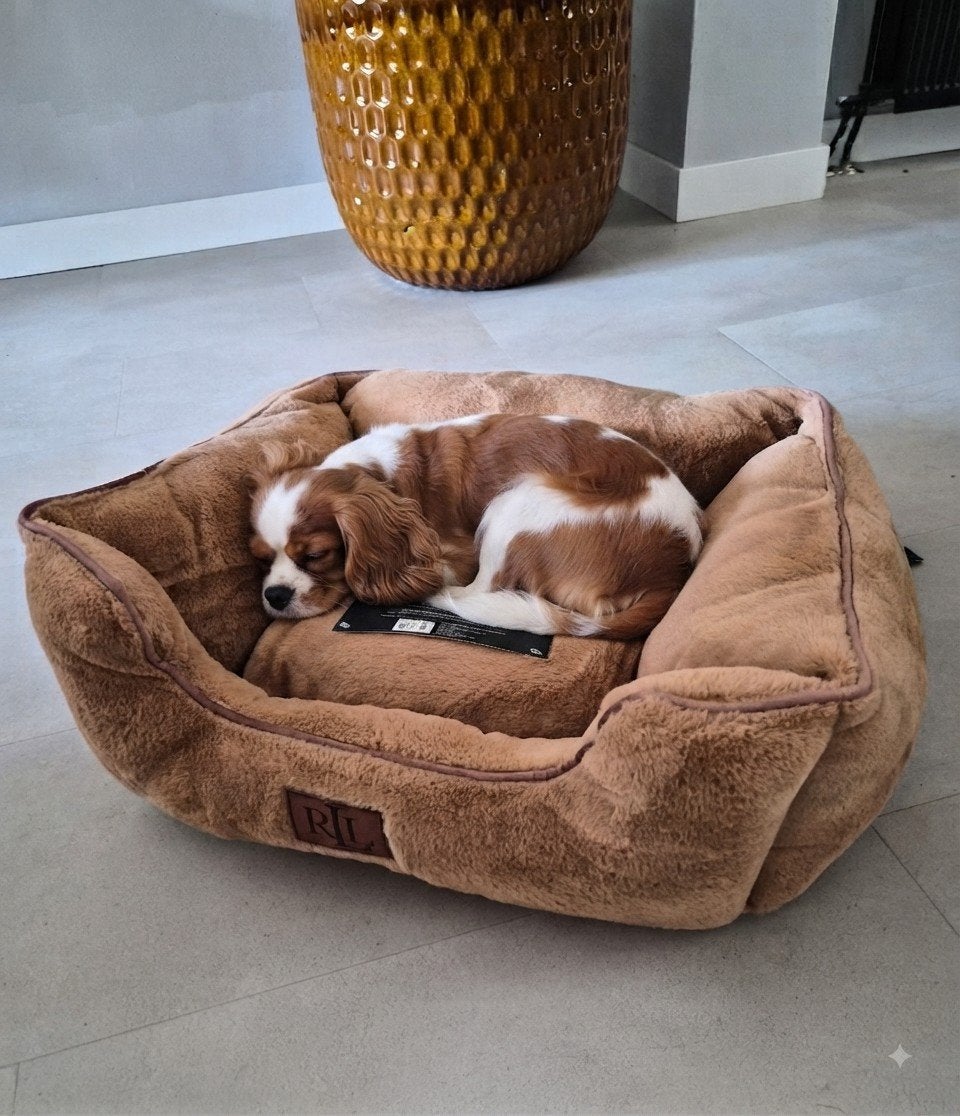 Ralph lauren velours velvet hondenmand nieuw met kaartje, Dieren en Toebehoren, Ophalen of Verzenden, Nieuw, Overige