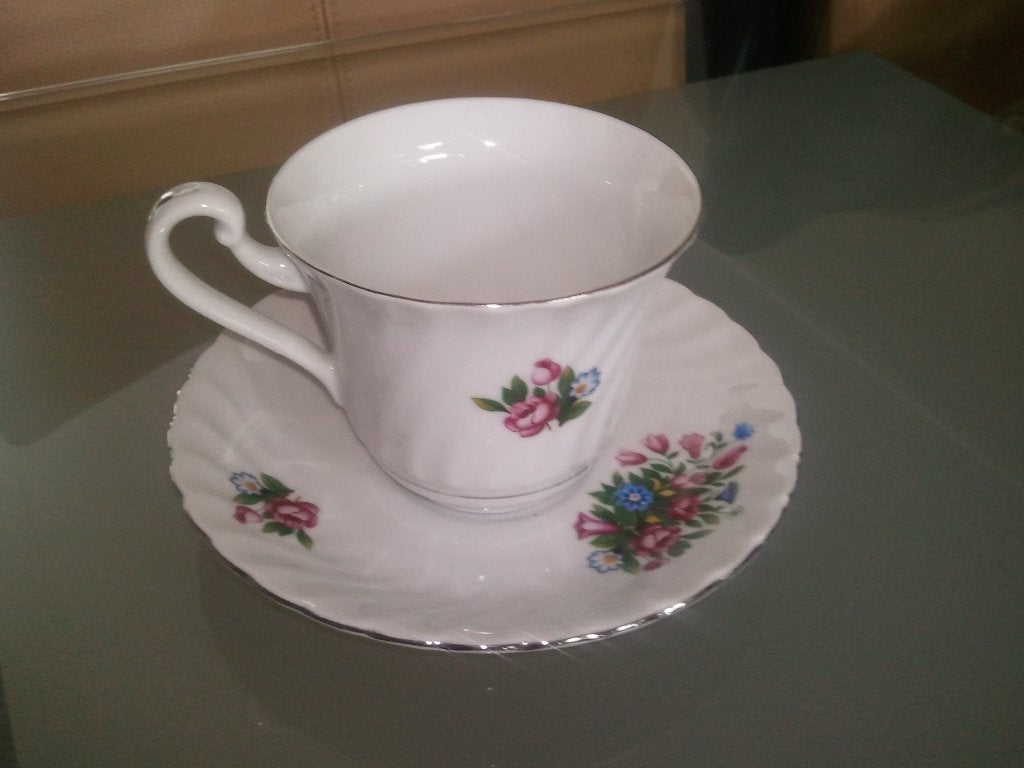 mooie Kop en schotel, porselein genuine royal frankonia, Ophalen of Verzenden, Zo goed als nieuw, Overige stijlen, Kop(pen) en/of Schotel(s)