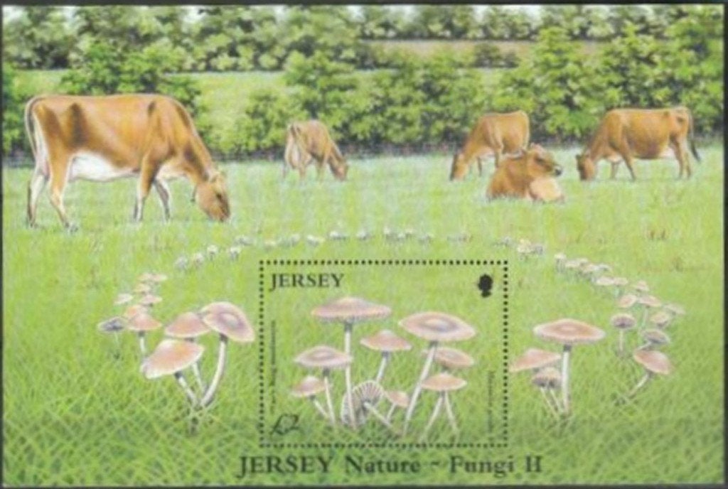 Paddenstoelen Jersey Michel blok 51 uit 2005 postfris, Postzegels en Munten, Ophalen of Verzenden, Postfris, Dier of Natuur