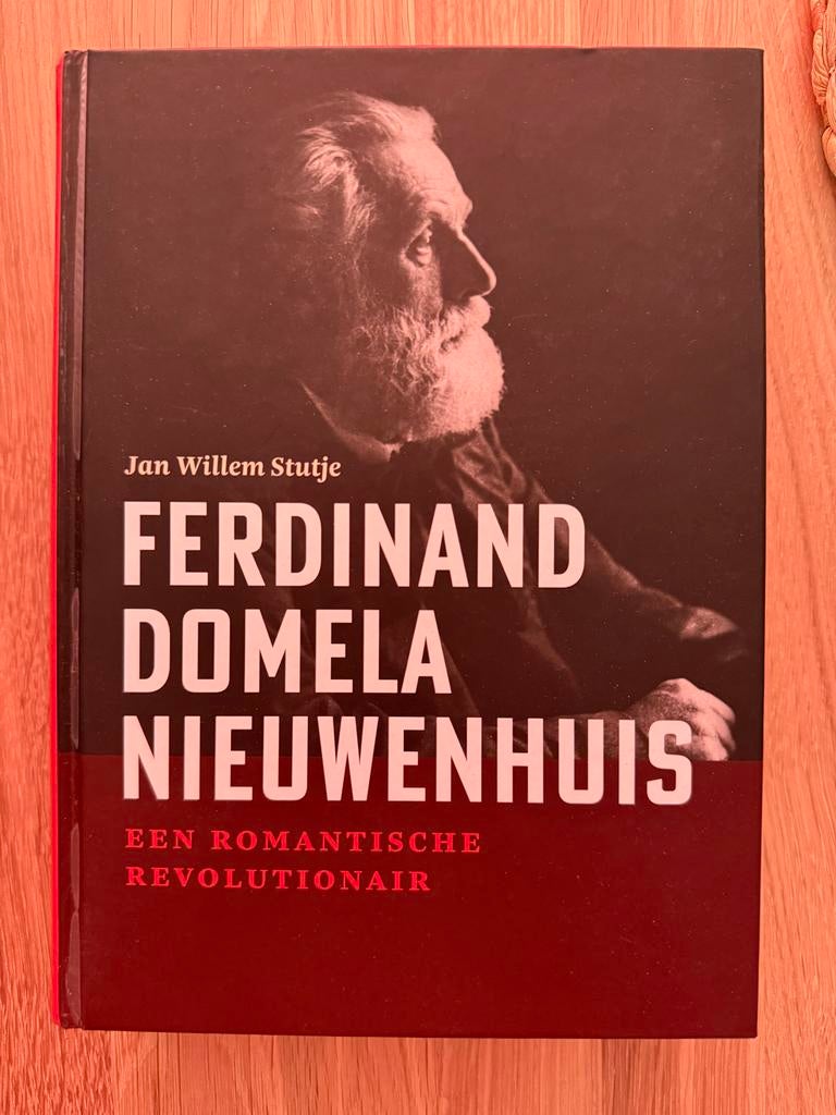 Ferdinand Domela Nieuwenhuis - Een romantische revolutionair, Boeken, Ophalen, Gelezen, Politiek