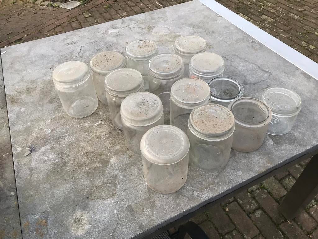 Weckpotten inmaakglazen, Ophalen of Verzenden, Gebruikt