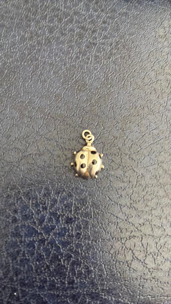 925 sterling zilver hanger kever, Gebruikt, Ophalen of Verzenden, Zilver, Dier