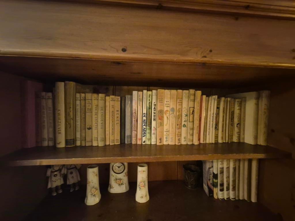 Meisjesboeken jaren '30-'50, Joop ter Heurt, Goud Elsje, Ophalen of Verzenden, Gelezen, Fictie algemeen