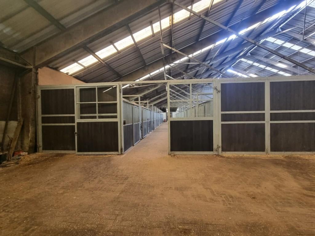 28 Zware paarden stallen zelf demonteren, Dieren en Toebehoren, Stalling en Weidegang, Opfok, Stalling, 4 paarden of pony's of meer