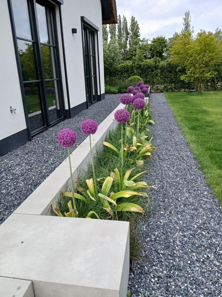 Hovenier/Tuinman, Garantie, Tuinontwerp