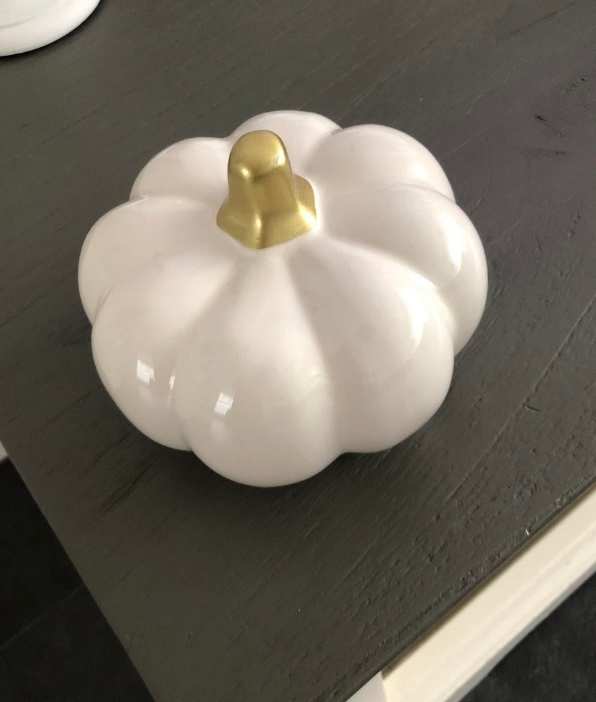 Witte pompoen decoratie, Ophalen of Verzenden, Zo goed als nieuw, Dier