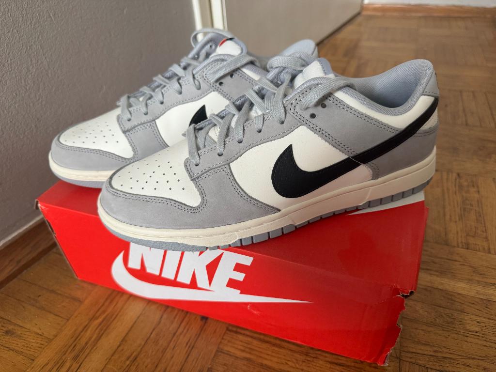 Nike Dunk Low maat 42 (nieuw), Overige kleuren, Nike, Nieuw, Ophalen of Verzenden