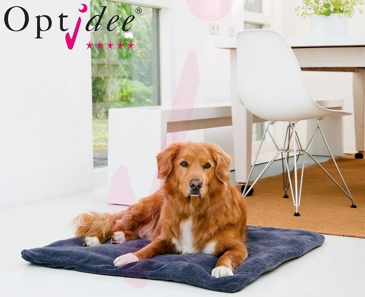Optidee Optipluche hondenkleed, Overige merken, Ophalen of Verzenden, Zo goed als nieuw