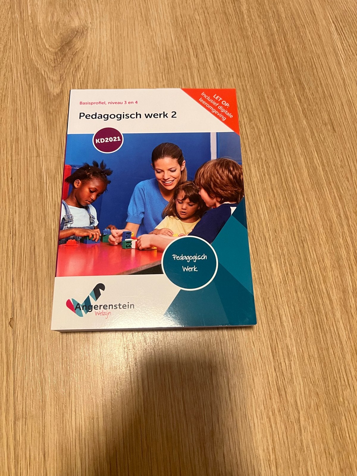 Pedagogisch Werk 2, Boeken, Studieboeken en Cursussen, Ophalen, Zo goed als nieuw, MBO