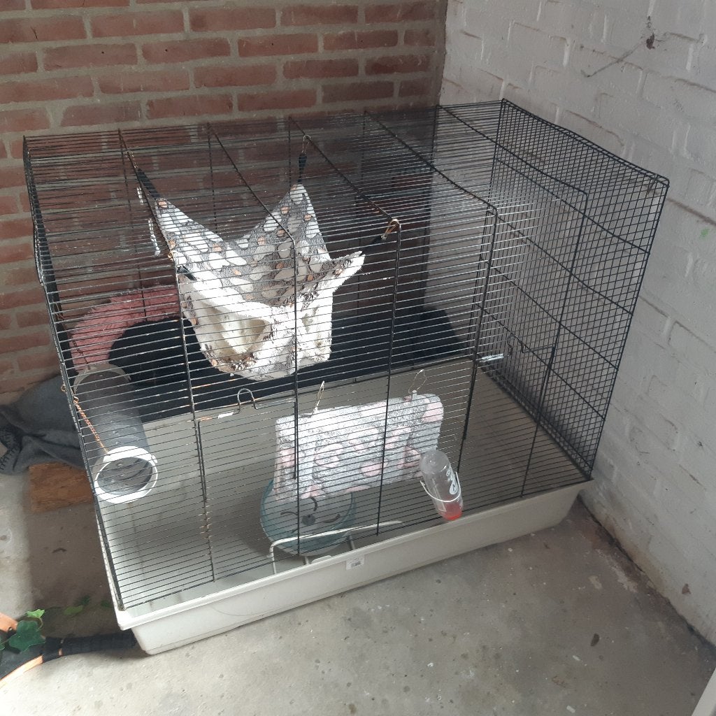 Knaagdier kooi gratis, Ophalen of Verzenden, Minder dan 75 cm, Kooi, Minder dan 60 cm
