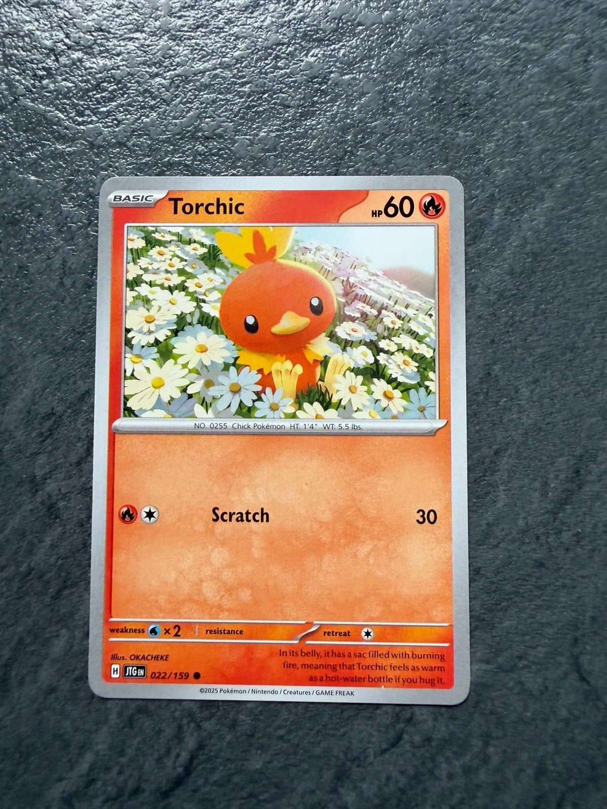 Torchic, Ophalen of Verzenden, Zo goed als nieuw