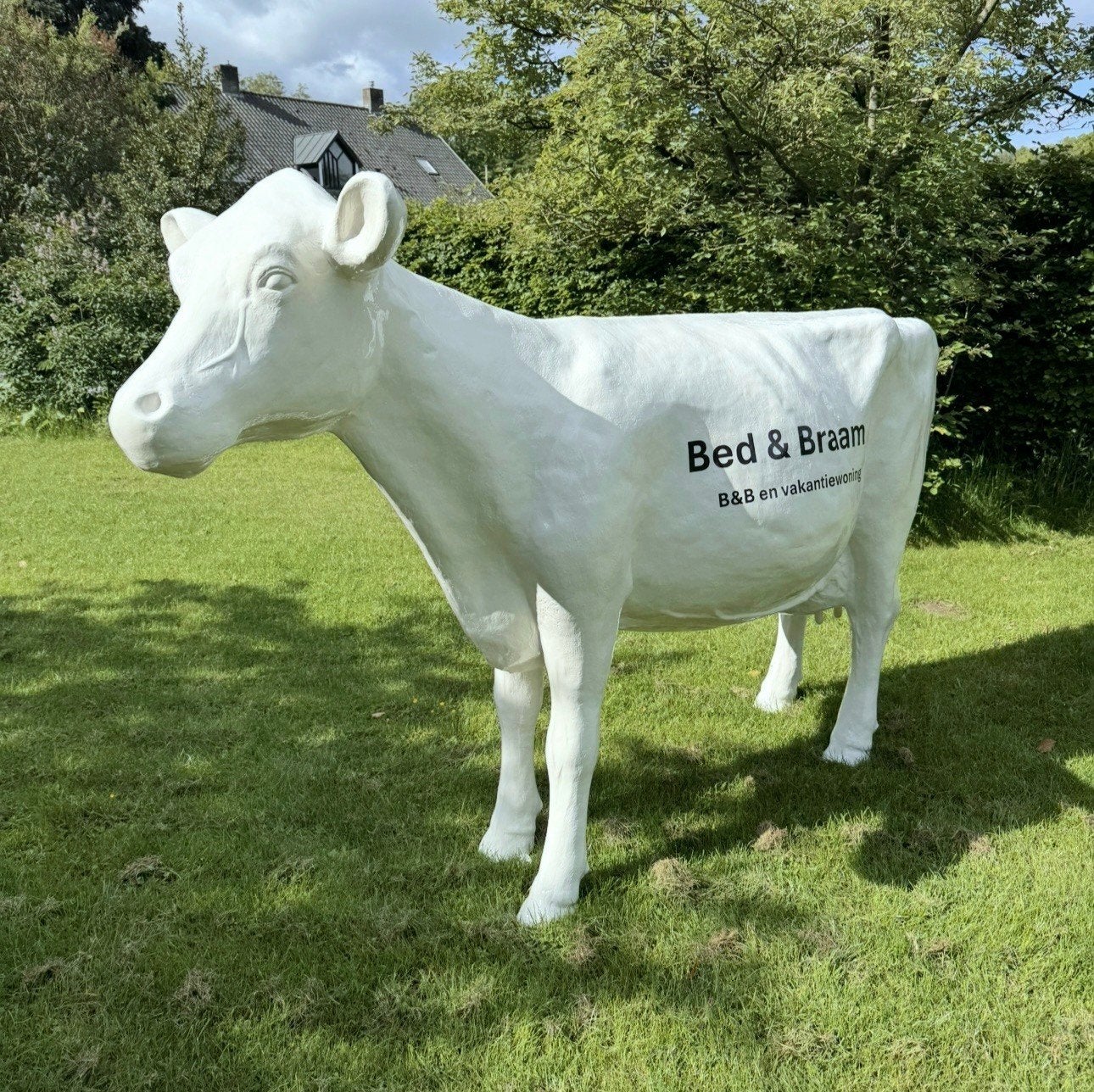 Koe in kleur logo tekst reclamebeeld, koeien, dierenbeelden, Tuin en Terras, Ophalen, Nieuw, Kunststof, Dierenbeeld