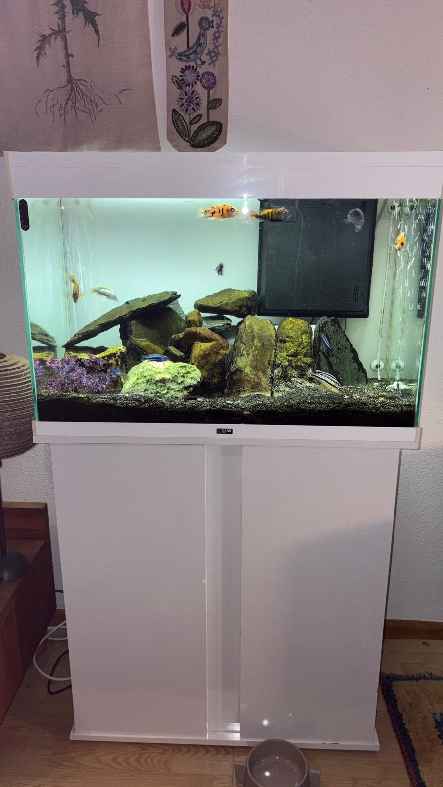 Aqaurium (Malawi cichliden) compleet., Dieren en Toebehoren, Ophalen, Zo goed als nieuw, Gevuld zoetwateraquarium