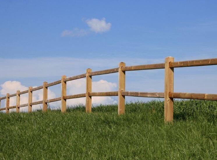 13. Houten omheining | tuinomheining | afrastering, Weidegang, 4 paarden of pony's of meer