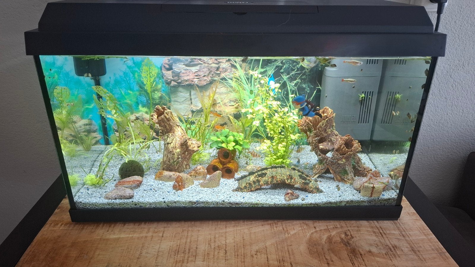 Juwel Aquarium, Ophalen, Leeg aquarium