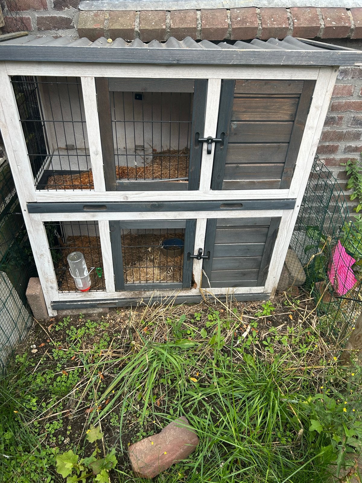Cavia konijnen hok, Ophalen, Gebruikt, Cavia, 90 cm of meer