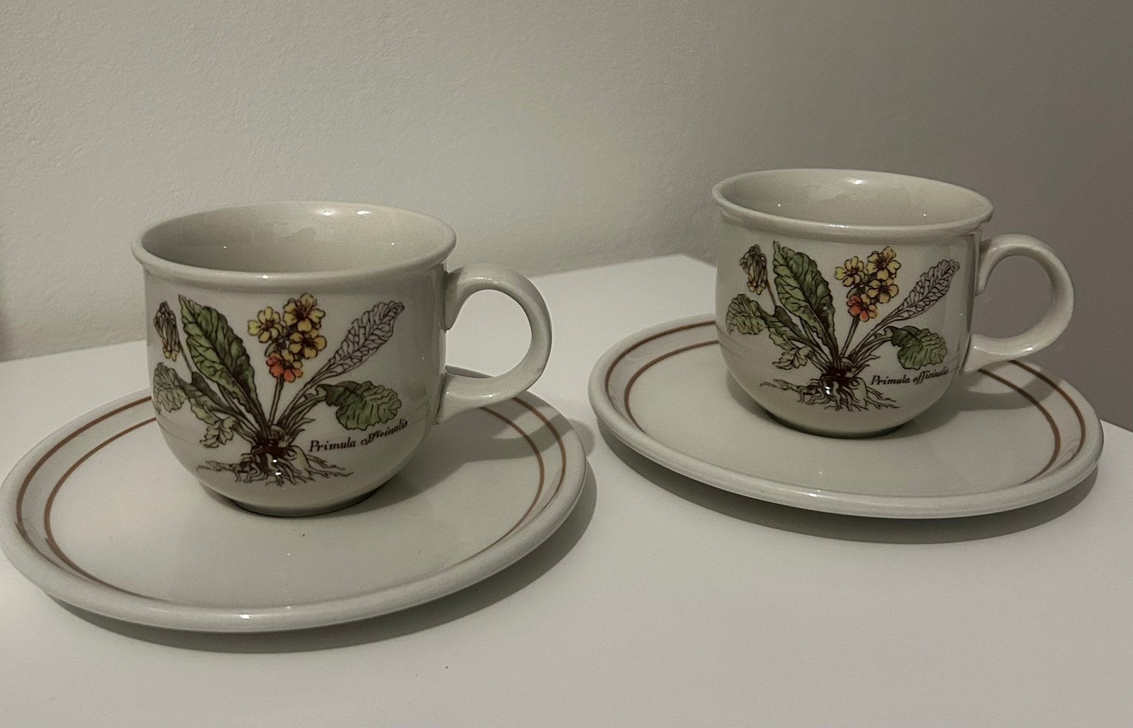 2x Botanica Kop en Schotel Primula - Vintage Bloemen, Ophalen