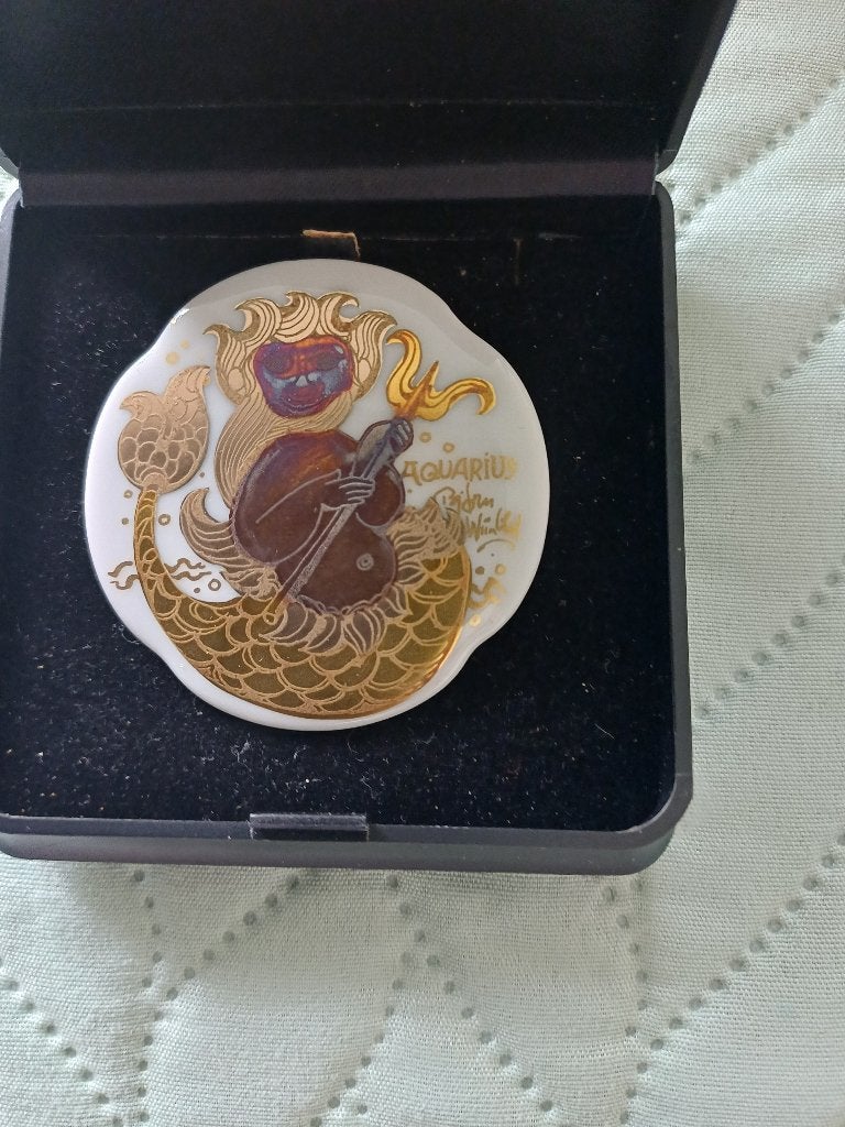 Waterman broche, Ophalen of Verzenden, Zo goed als nieuw, Zilver, Overige materialen