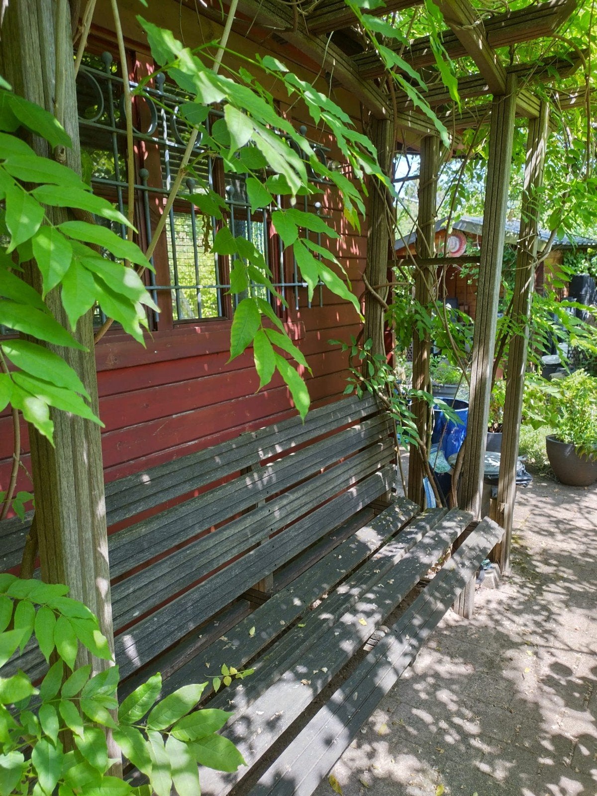 Prachtige volkstuin ca 300m2 in Rotterdam, Tuin en Terras, Tuinhuizen, Blokhut, 3 ramen of meer, Ophalen