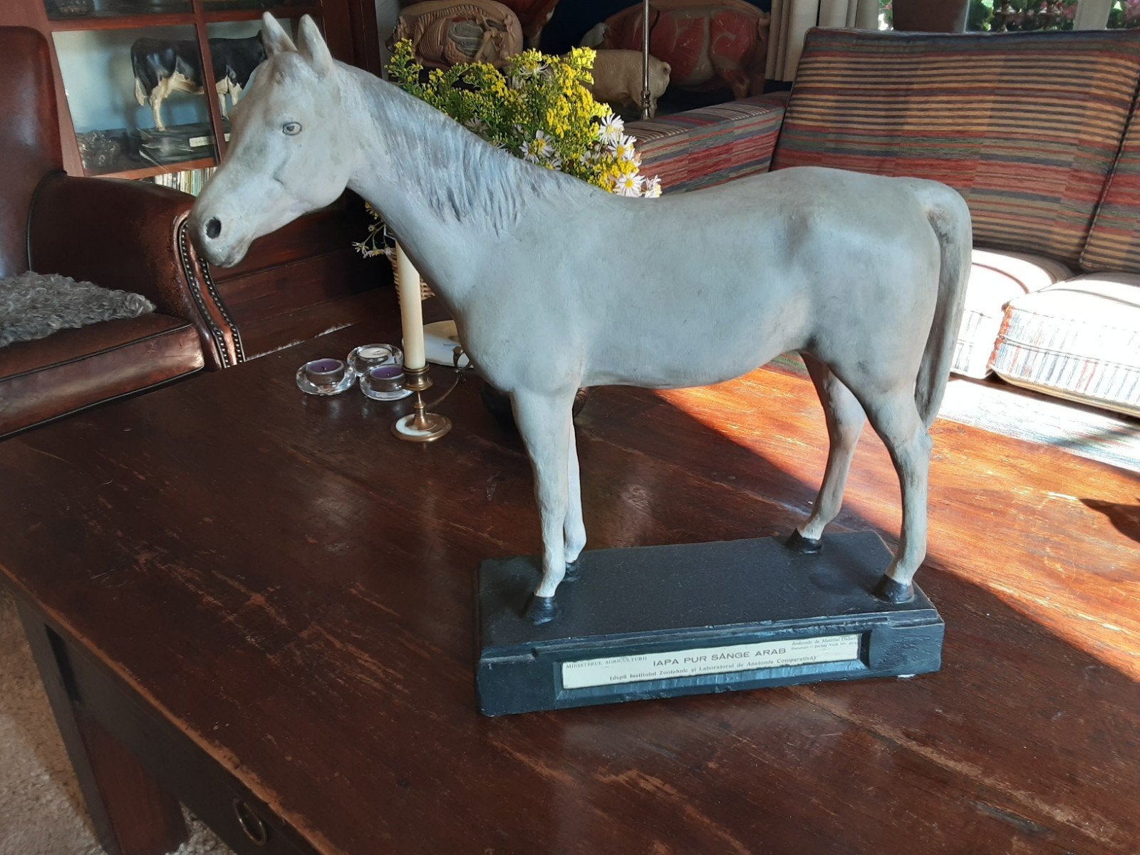 beeld paard Arabier, Ophalen
