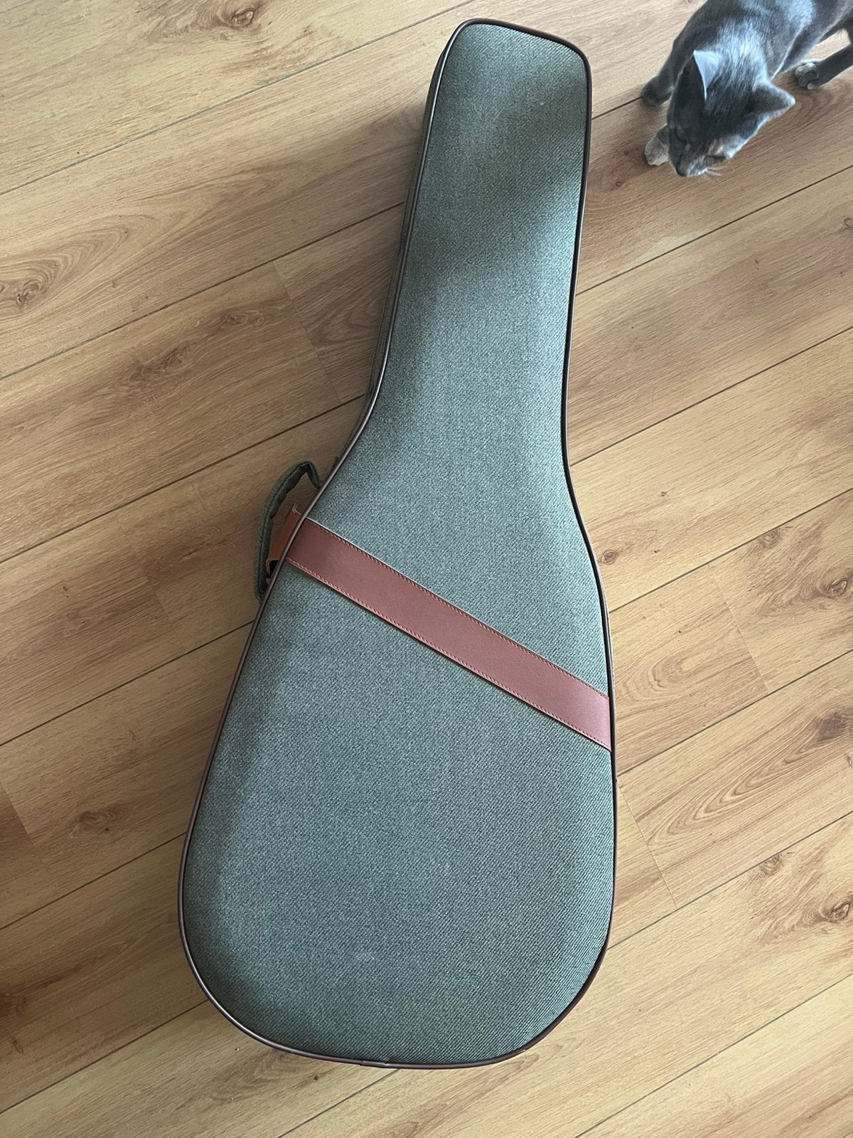 Ibanez FS40DA Green Guitar Case, Ophalen of Verzenden, Zo goed als nieuw