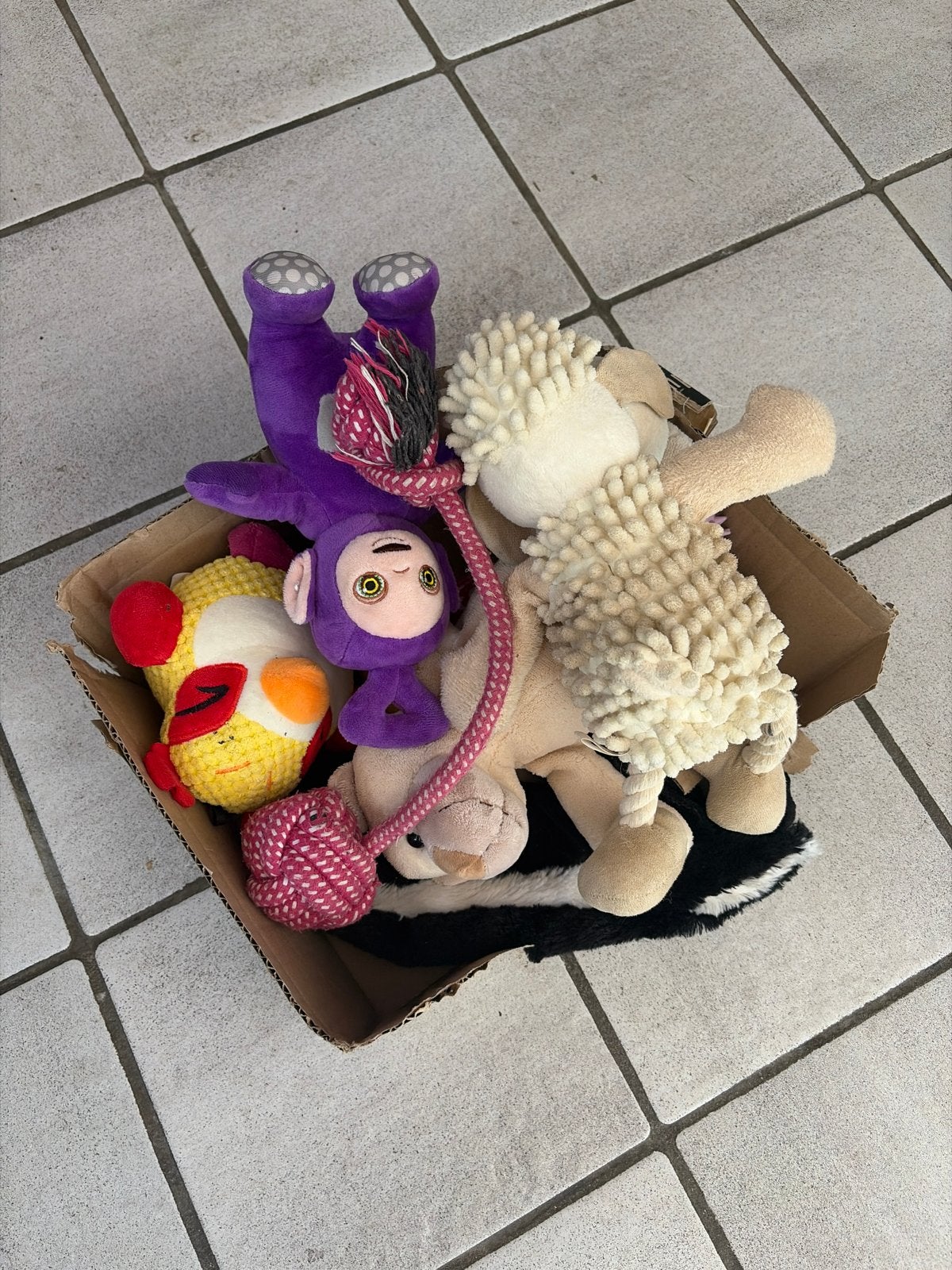 Gratis hondenspeeltjes, Ophalen, Zo goed als nieuw, Knuffels, Overige merken