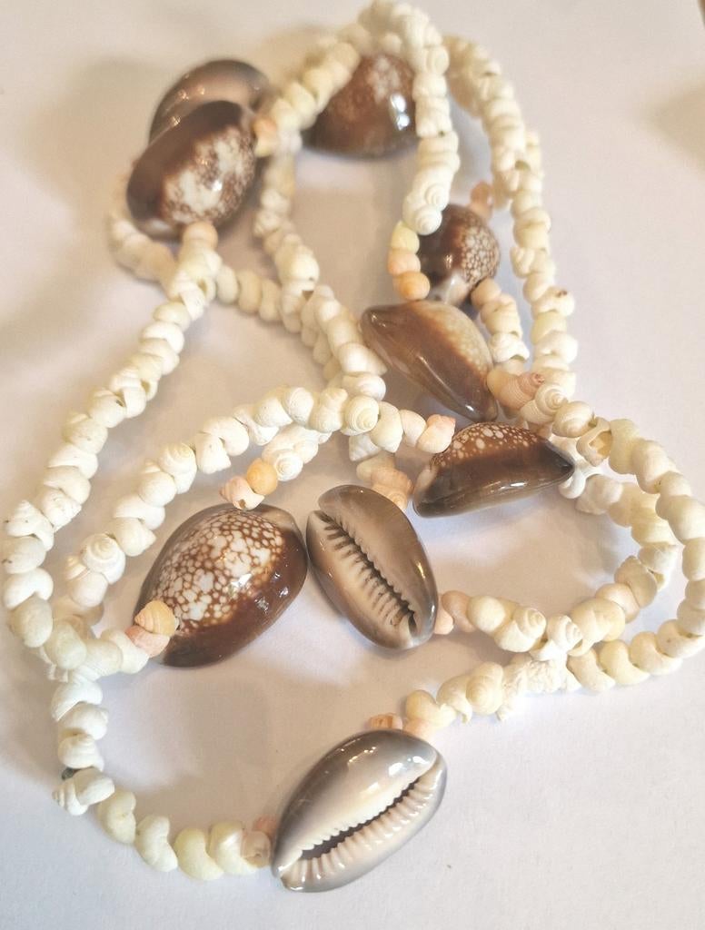 Lange ketting schelpen, Sieraden, Tassen en Uiterlijk, Kettingen, Ophalen of Verzenden, Zo goed als nieuw, Overige materialen