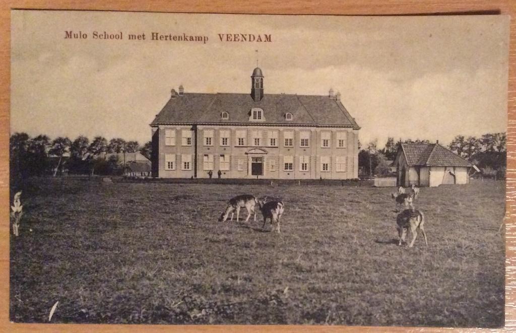 Veendam, Mulo school met Hertenkamp, Ophalen of Verzenden, 1940 tot 1960, Ongelopen, Groningen