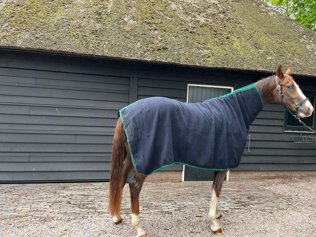 100% wollen deken+hals, Dieren en Toebehoren, Ophalen of Verzenden, Zo goed als nieuw