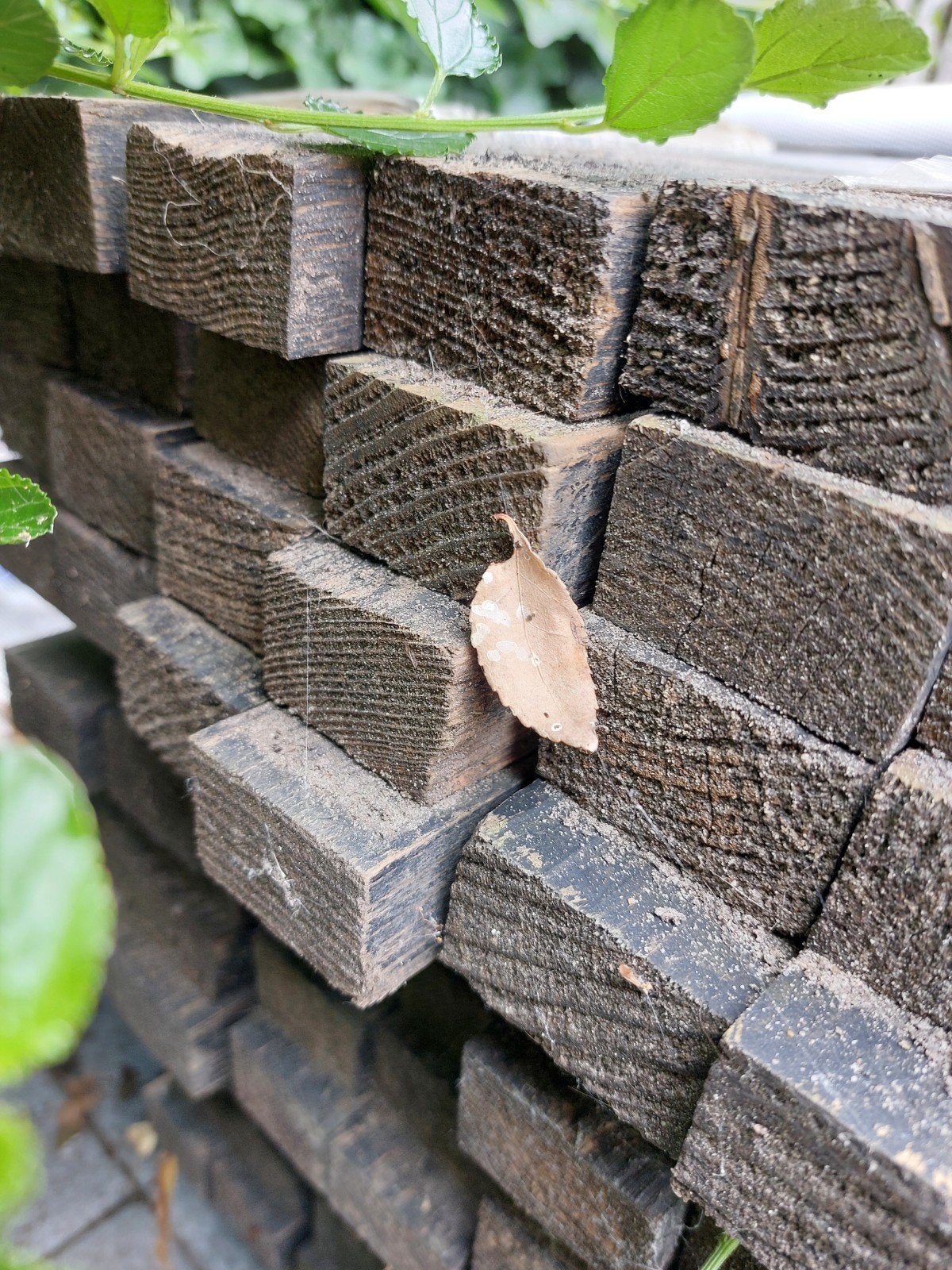 Vurenhout 27×45mm zwart behandeld, Doe-het-zelf en Verbouw, Hout en Planken, Ophalen, 25 tot 50 mm, Nieuw, Plank