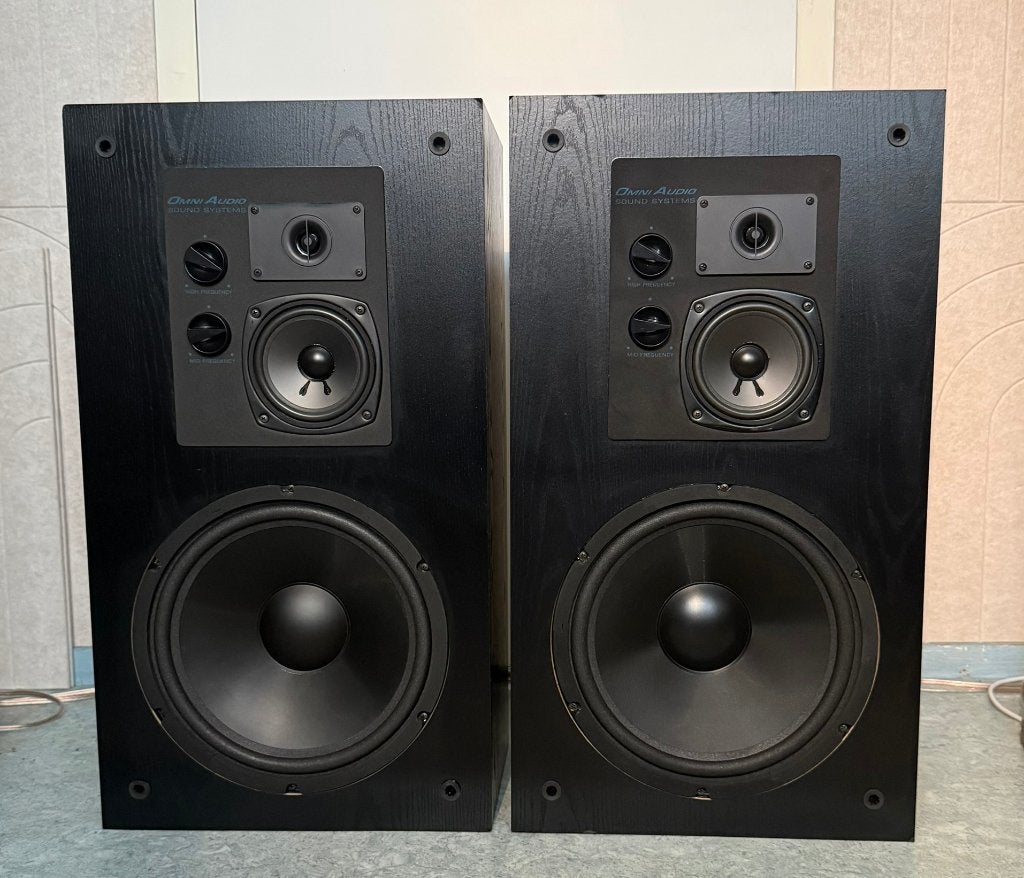 Krachtige Omni Audio SA 12.3 luidspreker set, Audio, Tv en Foto, Gebruikt, Party speaker, Geschikt voor surround/home cinema, Ophalen