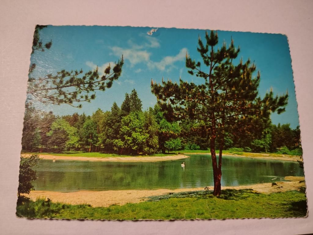 Ermelo, Ophalen of Verzenden, 1940 tot 1960, Gelderland