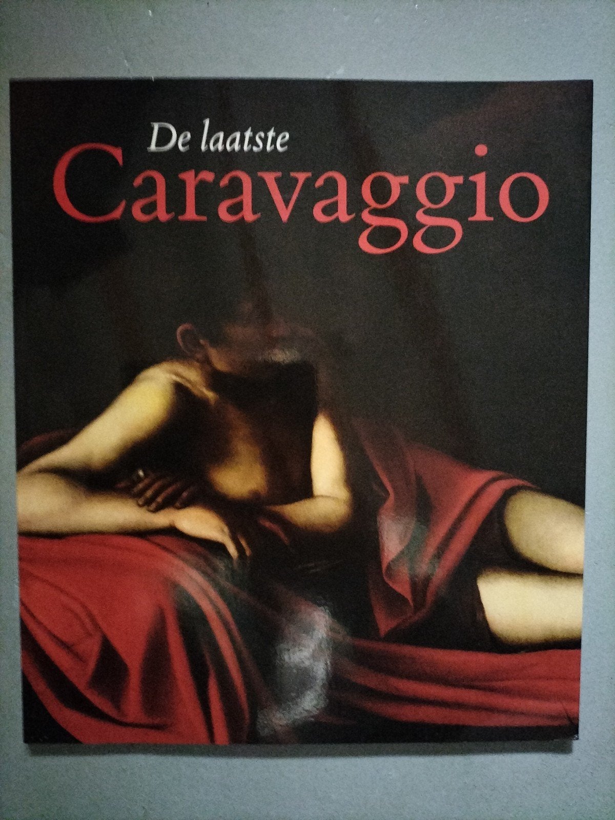 De laatste Caravaggio, Boeken, Ophalen of Verzenden, Zo goed als nieuw, Bert Treffers & Guus van den Hout, Schilder- en Tekenkunst
