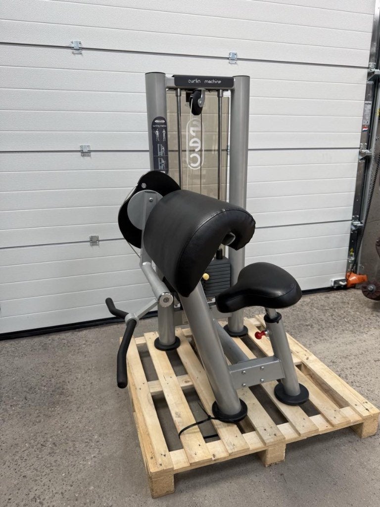 Panatta bicep curl machine / Bizeps/ Bizep, Gebruikt, -, -, Overige typen