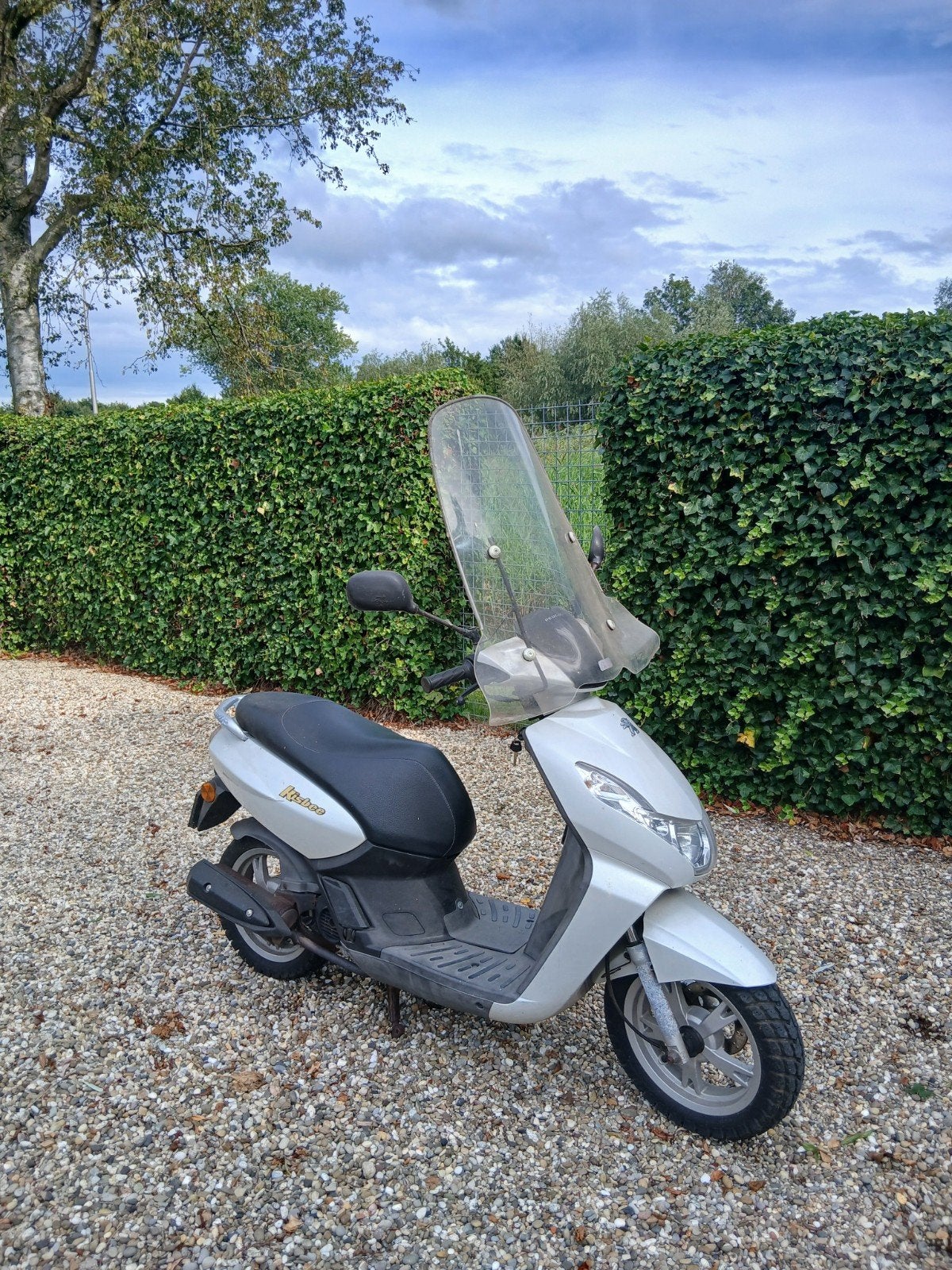 opknap scooter, Ophalen of Verzenden, Gebruikt, Overige modellen